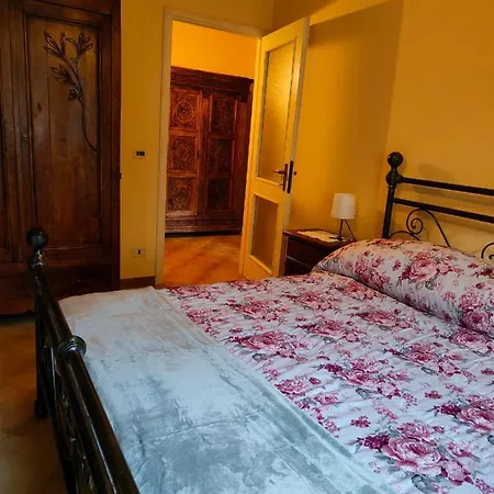 Il Tarassaco